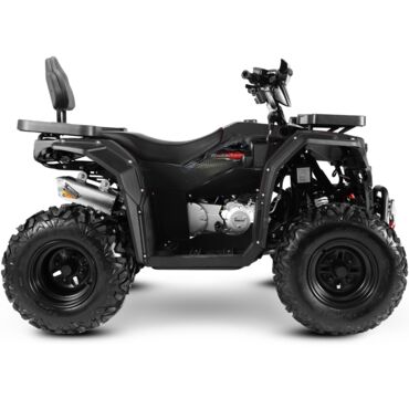 Квадроцикл Progasi Race Jumper Max Power 200 - миниатюра 1