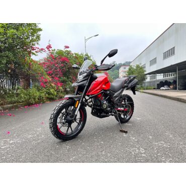 Мотоцикл Regulmoto DUKE 300 PRO - миниатюра 1