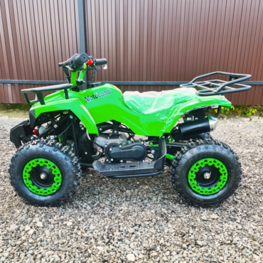 Квадроцикл Motoland  ATV SCORPION 50 - миниатюра 1