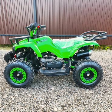 Квадроцикл Motoland  ATV SCORPION 50