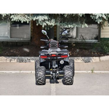 Квадроцикл Rmoto Lion 130 RR - миниатюра 1