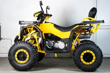 Квадроцикл SPRMOTORS ATV Extreme- 250DQ