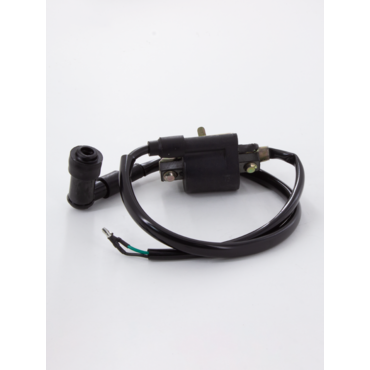 Катушка зажигания ZS 155/ Daytona тип 1 - миниатюра 1