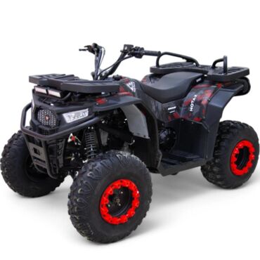 Квадроцикл бензиновый  MOTAX  GRIZLIK W200 - миниатюра 1
