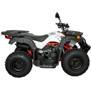 Квадрицикл KAYO AU150 CVT (белый пластик 2024 г.) (ПТС) - миниатюра 1
