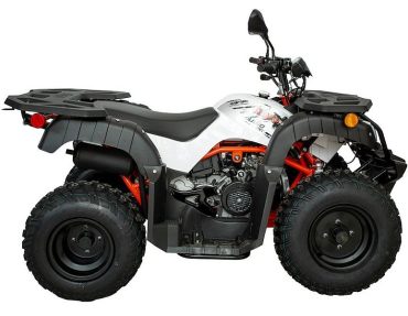 Квадрицикл KAYO AU150 CVT (белый пластик 2024 г.) (ПТС)