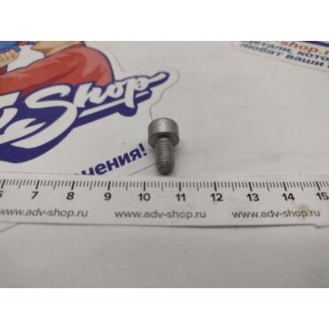 KTM Винт DIN0912 M 6X10 10.9 ( 0912060106 ) - миниатюра 1