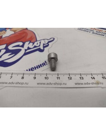 KTM Винт DIN0912 M 6X10 10.9 ( 0912060106 )