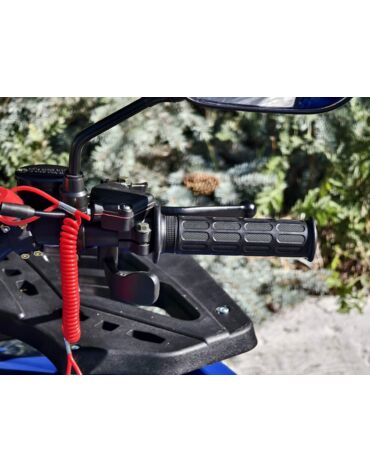 Квадроцикл Rmoto Lion 125 A LITE