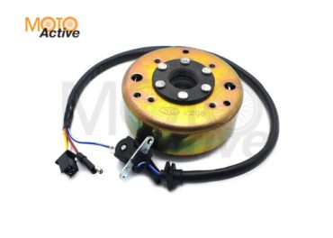 Генератор в сборе WELS EVOX200