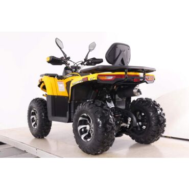 Квадроцикл Motoland  VOX250 WILD TRACK X PLUS - миниатюра 2