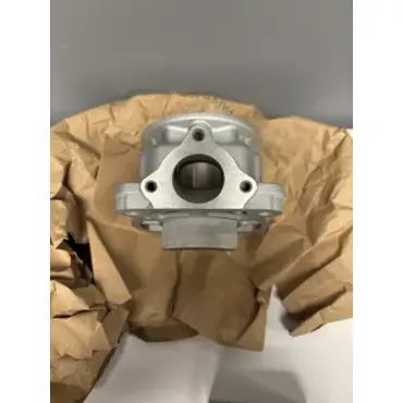 Цилиндр в комплекте с поршнем KTM50SX 24- / Husqvarna TC50 24- / GasGas MC50 24- - миниатюра 1
