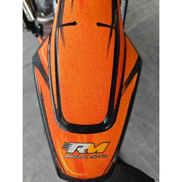 Мотоцикл Regulmoto ATHLETE PR 300 19 16, 5 передач - миниатюра 1
