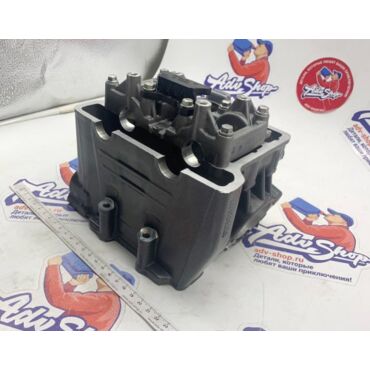 KTM Голова цилиндра 390 Duke RC 13-> ( 93836020033 / 90236020033 ) - миниатюра 1