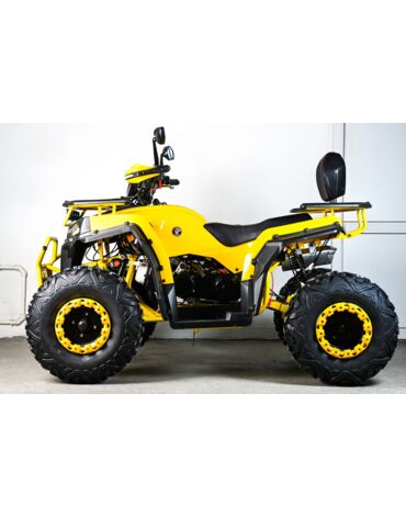 Квадроцикл SPRMOTORS ATV Blade- 200V