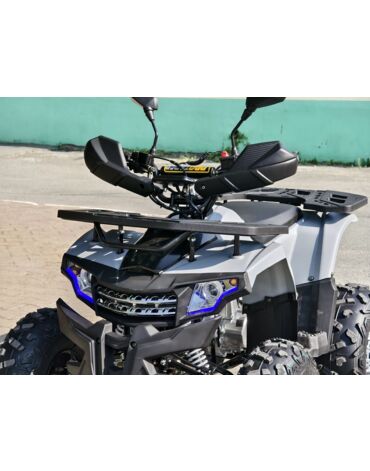 Квадроцикл Rmoto Lion 125 AА