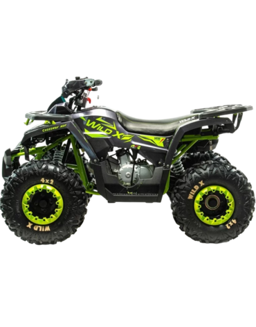 Квадроцикл Motoland WILD 125 Х
