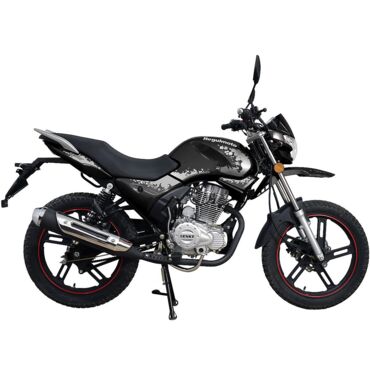 Мотоцикл Regulmoto SK 200 9 - миниатюра 1