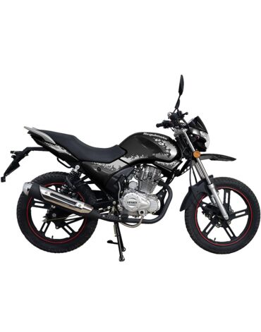 Мотоцикл Regulmoto SK 200 9