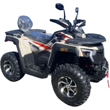 Квадроцикл Racer Ranger 250 - миниатюра 1