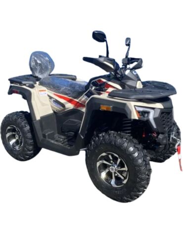Квадроцикл Racer Ranger 250