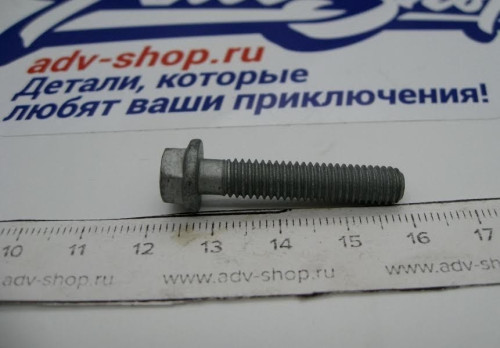 OEM 0025060806