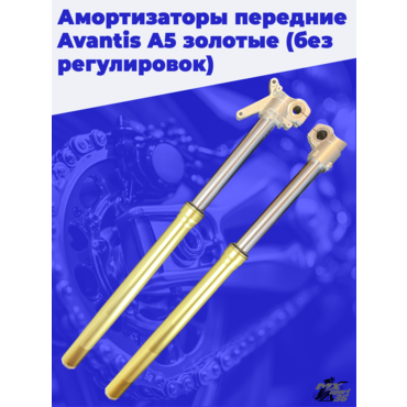Амортизаторы передние Avantis A5 золотые (без регулировок) - миниатюра 1