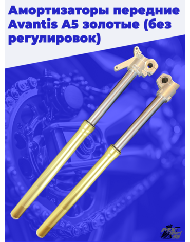 Амортизаторы передние Avantis A5 золотые (без регулировок)
