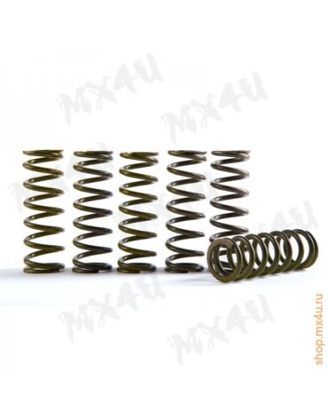 Набор пружин сцепления Hinson KTM 250SX F '2016 17 - Set Of 6