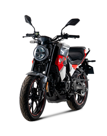 Дорожный мотоцикл TMBK  MONTANA 250 NG (172 FMM)