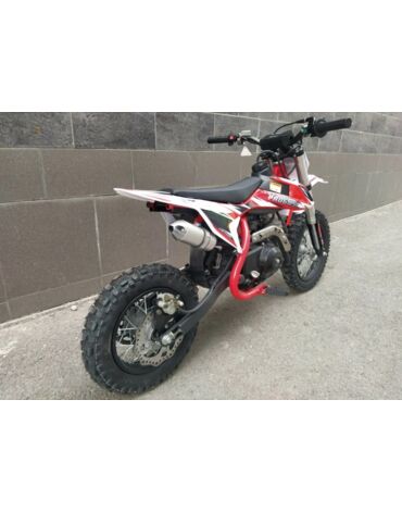 Питбайк Progasi KIDS POWER 110  (10 10)