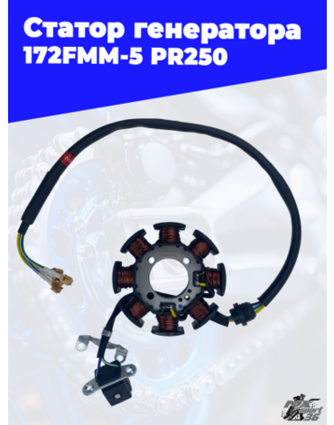 Статор генератора 172FMM 5 PR250