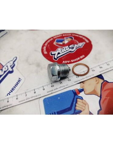 LS MAGNETIC OIL DRAIN PLUG M 16 X 1.5 болт магнитный сливной BMW R1100 R1150 R1200 K1200 K1600 // 10012307