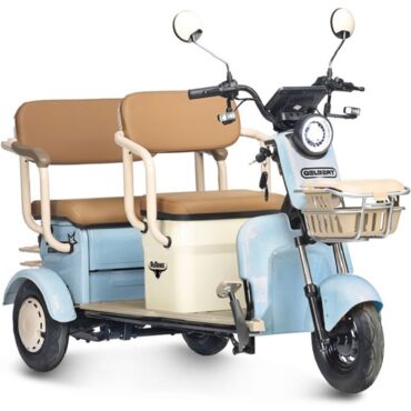 Электротрицикл Rutrike Gelbert Hara 48V 60V 600Вт - миниатюра 1