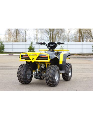 Квадроцикл IRBIS ATV 125