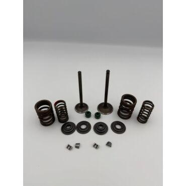 Ремкомплект клапанов  172FMM PR250 300 - миниатюра 1