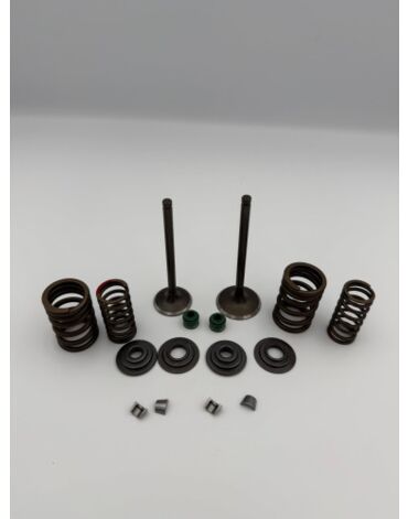 Ремкомплект клапанов  172FMM PR250 300