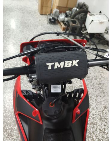 Мотоцикл TMBK Magnetic 300 (PR300)