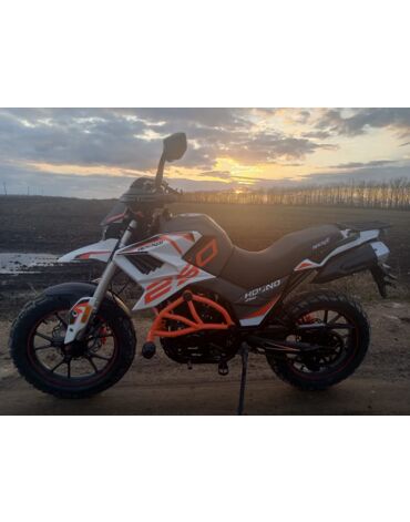 Мотоцикл турэндуро ROCKOT HOUND 250, ЭПТС