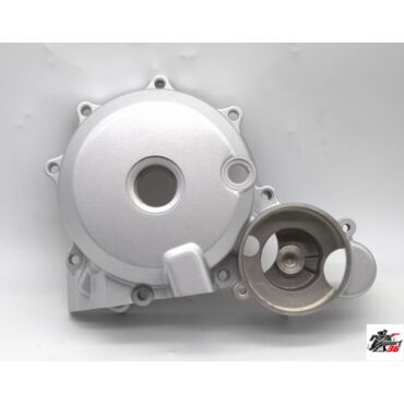 Крышка двигателя левая 157FMI, 161FMJ, 165FMM (CB125 250) TTR250 - миниатюра 1