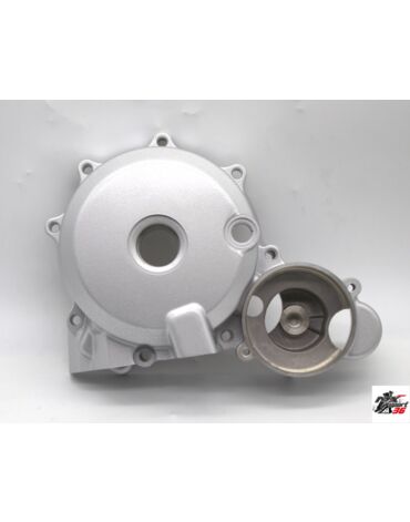Крышка двигателя левая 157FMI, 161FMJ, 165FMM (CB125 250) TTR250