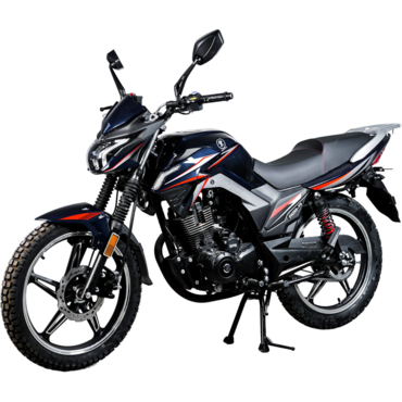 Мотоцикл дорожный SPRMOTORS Forte FH250 Y9 - миниатюра 5