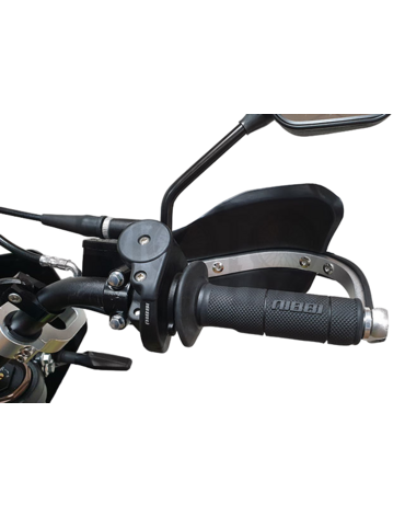 Мотоцикл Regulmoto ZR PR 300 4 valves 5 gear