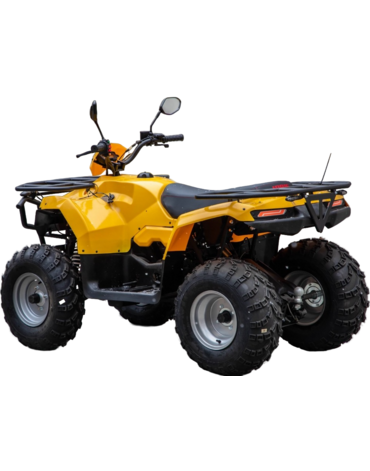 Квадроцикл IRBIS ATV250 PREMIUM