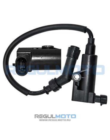 Катушка зажигания со свечным колпачком Regulmoto Thor 