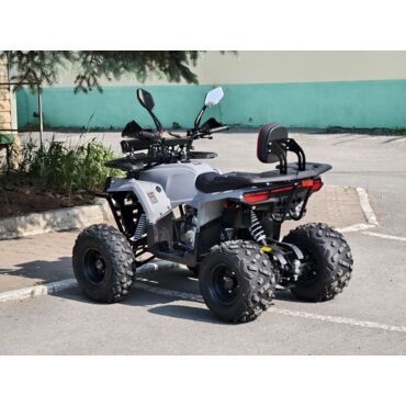 Квадроцикл Rmoto Lion 130 RR - миниатюра 4