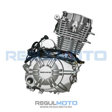 Двигатель CB300PRO 6 gear  - миниатюра 1