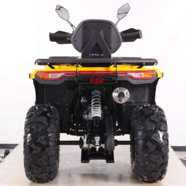 Квадроцикл Motoland  VOX250 WILD TRACK X PLUS - миниатюра 4