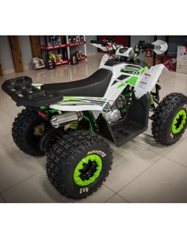 Квадроцикл Motoland VOX125 COYOTE
