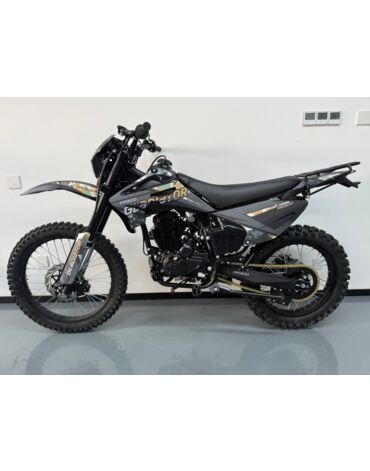 Мотоцикл GLADIATOR C4 PR300